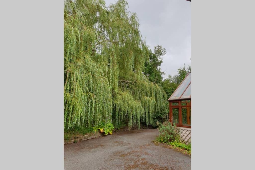 Willow Lodge Abergavenny Kültér fotó